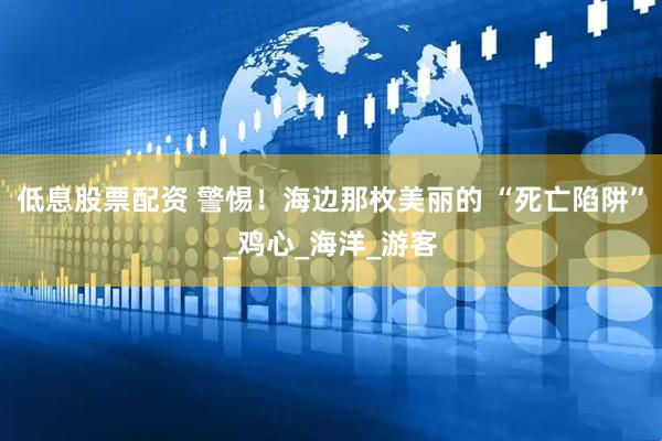 低息股票配资 警惕！海边那枚美丽的 “死亡陷阱”_鸡心_海洋_游客