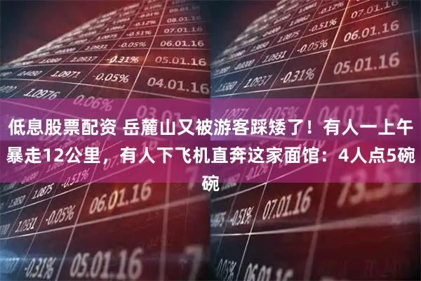 低息股票配资 岳麓山又被游客踩矮了！有人一上午暴走12公里，有人下飞机直奔这家面馆：4人点5碗